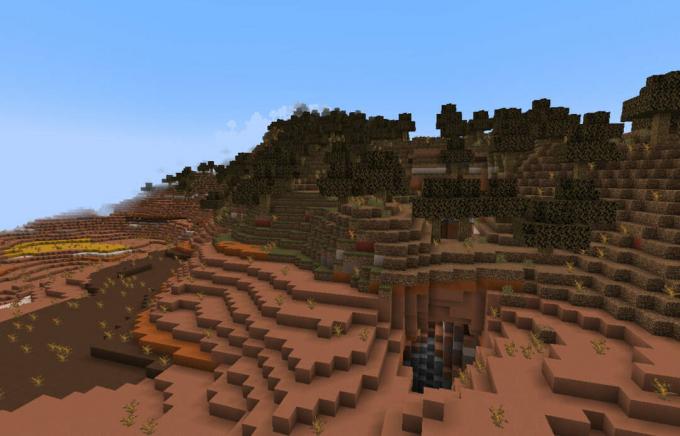 Bioma Hutan Tandus di Minecraft.